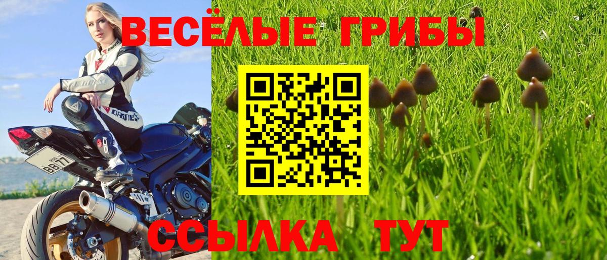 Галлюциногенные грибы MAGIC MUSHROOMS Братск