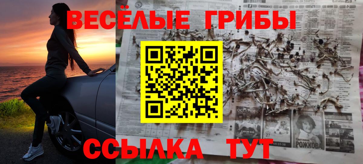 Братск  Галлюциногенные грибы мухоморы  Вход с VPN 